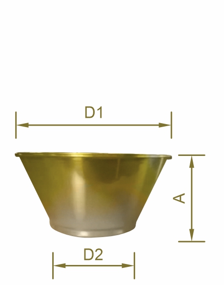 ca21