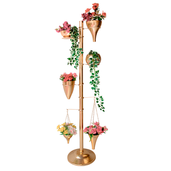 modulo3-plantas
