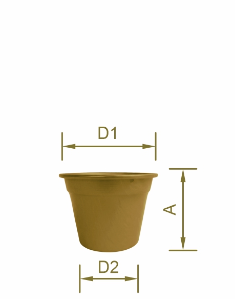 ca10-2